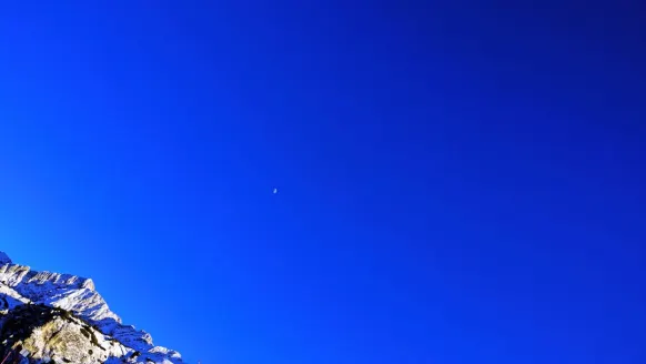 Kasino Bet Rocker Sokongan